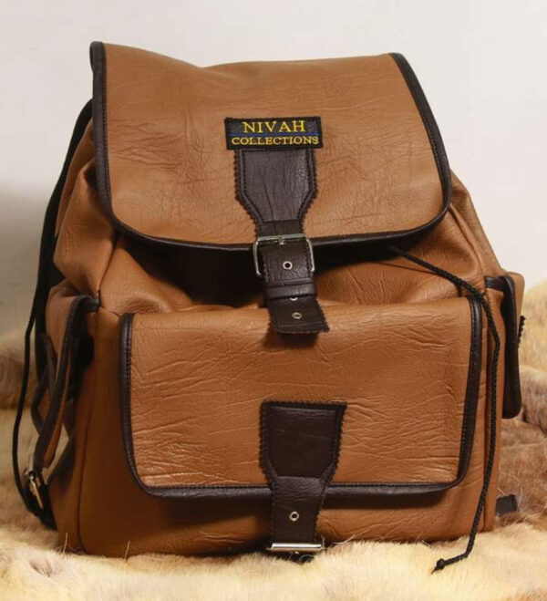 Stylish Backpack